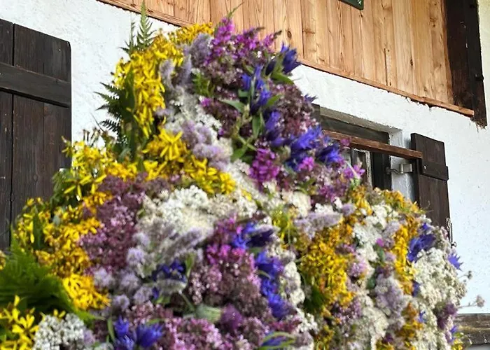 Knapphof Guest house 3*